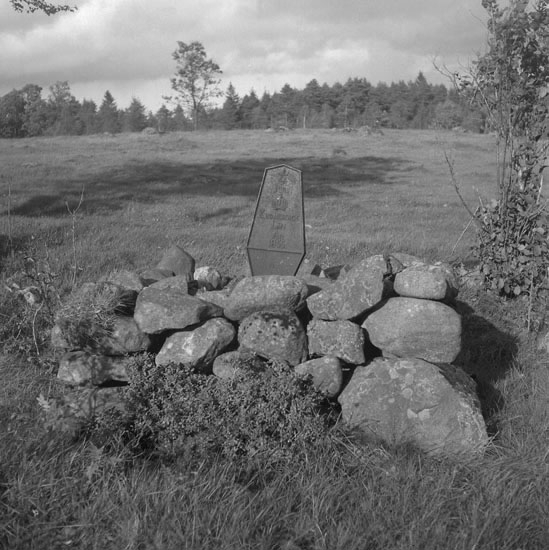 Foto av en milsten av järn, med röse. 
Text: "1/4 MIL Kronobergs län, År 1855."
700 m N, 35 ° V om Vrå kyrka. 250 m Ö om gård. 2 m N om vägen.
Vägen Ljungby-Markaryd. 
Källa: Kronobergs läns väginventering 1943.