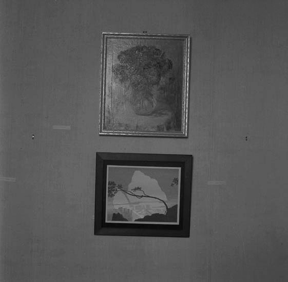 Tavlor. "Flowers" av Christian Olsen samt "Windswept ", av Clarence Raymond Johnson. 
Tavlor ur Svensk-Amerikanska samlingen på Smålands museum.