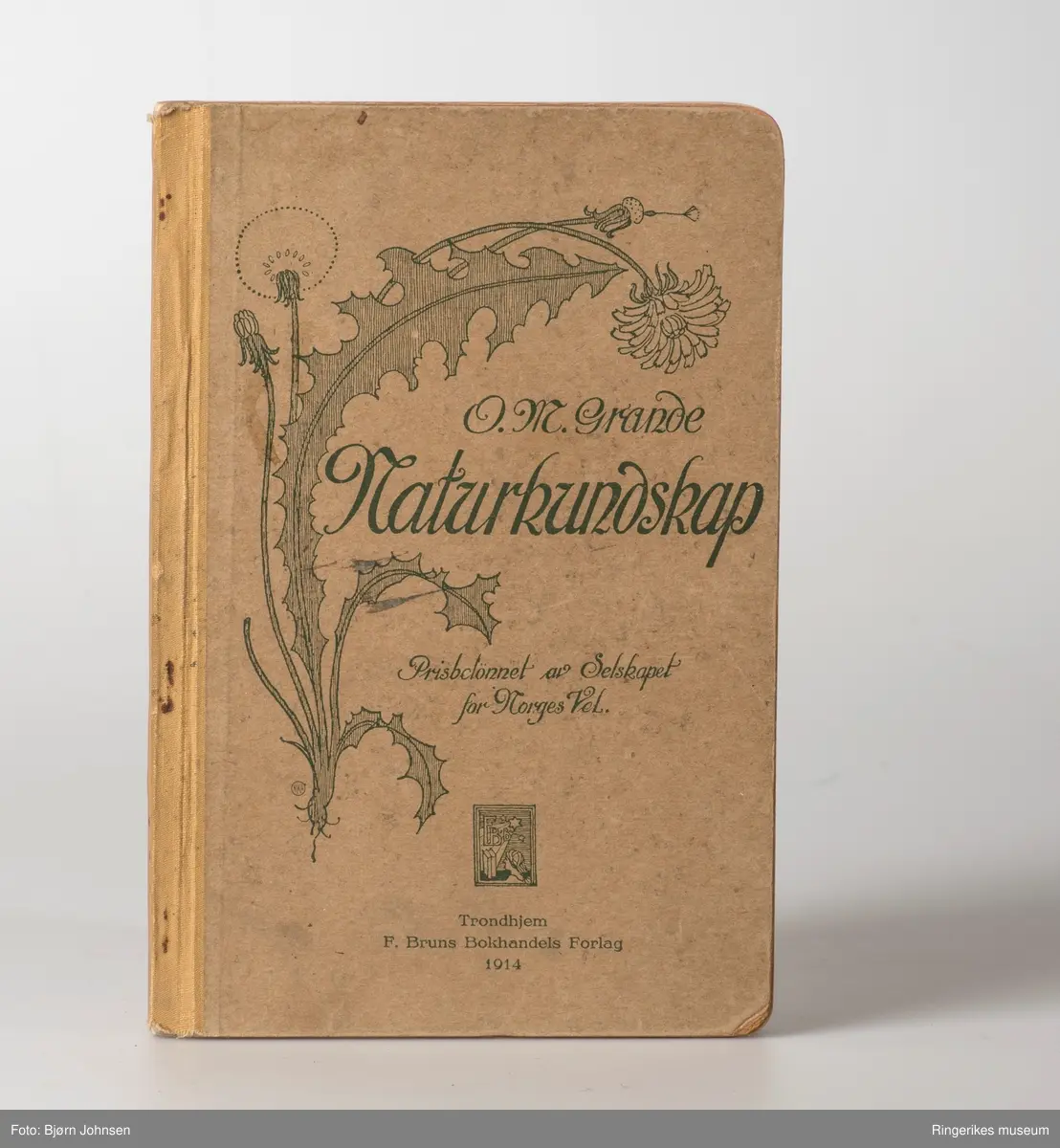 To lesebøker har bilder av barn, Nordal Rolfsens lesebok -1914, har en bred bord , den yngre utgaven - mann som skuer over et landskap