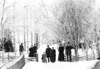 Grupp utanför fotograf Forsbäcks hem Lundbacka, Skog.