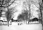 Lundbacka (fotograf Forsbäcks hem).