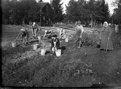 TRÄSLOTTEN SOM BLEV VÄRLDSARV - ett pedagogiskt lektionsmaterial för att upptäcka hälsingegårdarna
