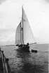 Segelbåt.