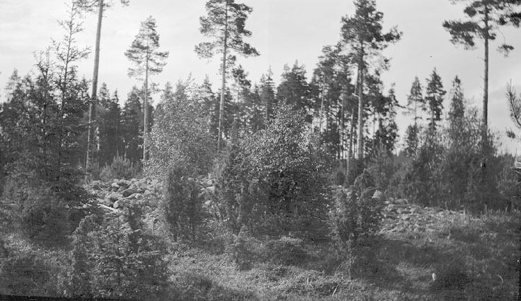 Ett röse från Lybeck i Öjaby sn.




.