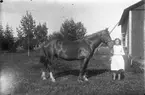 Flicka med häst.
