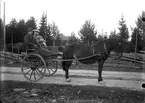 Lantbrukaren Hans Schönning (född 1894) och fabriksarbetaren Ossian, Sjökalla, i en sulky.