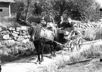 Häggströms i Norrsundet med häst och vagn, 1910-talet. Från vänster: Hamnlots Asplund, Anna Axman-Forssander, Maja Asplund-Persson, Erik Axman och Britta Häggström.