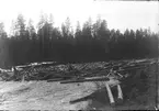 Flottning. Foto år 1929.