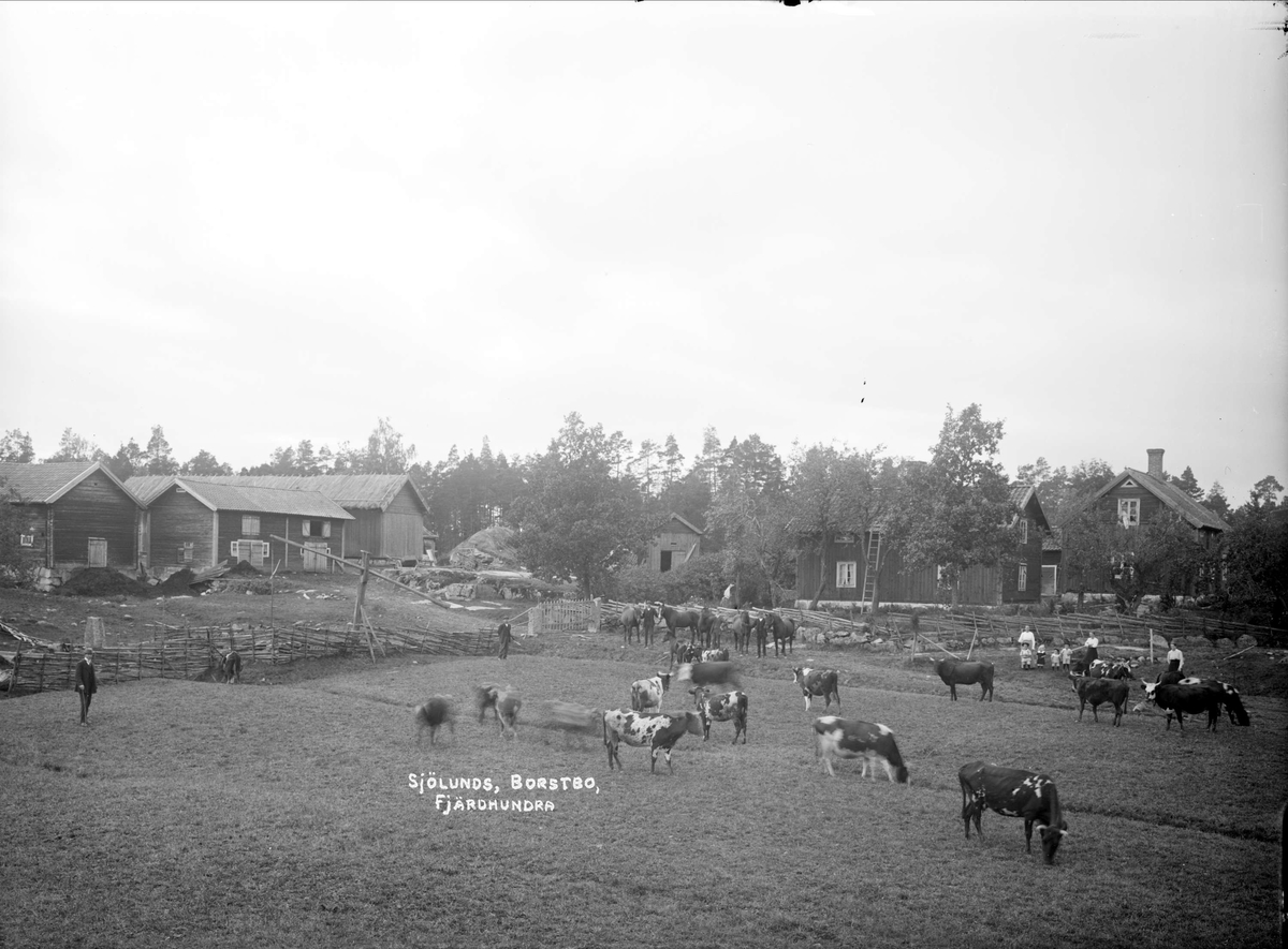 "Sjölunds, Borstbo", Simtuna socken, Uppland 1917