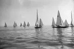Gävle Segelsällskap. År 1925. Norrlandsregattan i Sundsvallsfjärden, bl.a. runt Alnön.