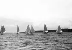 Gävle Segelsällskap. År 1925. Norrlandsregattan i Sundsvallsfjärden, bl.a. runt Alnön.