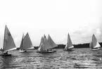 Gävle Segelsällskap. År 1925. Norrlandsregattan i Sundsvallsfjärden, bl.a. runt Alnön.