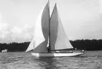 Gävle Segelsällskap. År 1925. Norrlandsregattan i Sundsvallsfjärden, bl.a. runt Alnön.