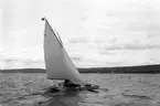 Gävle Segelsällskap. År 1925. Norrlandsregattan i Sundsvallsfjärden, bl.a. runt Alnön.