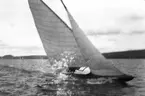Gävle Segelsällskap. År 1925. Norrlandsregattan i Sundsvallsfjärden, bl.a. runt Alnön.