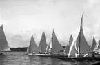Gävle Segelsällskap. År 1925. Norrlandsregattan i Sundsvallsfjärden, bl.a. runt Alnön.