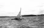 Gävle Segelsällskap. År 1925. Norrlandsregattan i Sundsvallsfjärden, bl.a. runt Alnön.