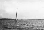 Gävle Segelsällskap. Seglingar. År 1925.