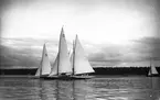 Gävle Segelsällskap. Norrlandsregattan.  År 1928.  Gefle Segelsällskap stod som arrangör för Norrlandsregattan.