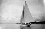 Gävle Segelsällskap. Norrlandsregattan.  År 1928.  Gefle Segelsällskap stod som arrangör för Norrlandsregattan.