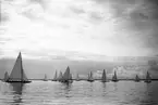 Gävle Segelsällskap. Norrlandsregattan.  År 1928.  Gefle Segelsällskap stod som arrangör för Norrlandsregattan.