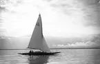 Gävle Segelsällskap. Norrlandsregattan.  År 1928.  Gefle Segelsällskap stod som arrangör för Norrlandsregattan.