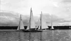 Gävle Segelsällskap. Norrlandsregattan.  År 1928.  Gefle Segelsällskap stod som arrangör för Norrlandsregattan.