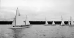 Gävle Segelsällskap. Norrlandsregattan.  År 1928.  Gefle Segelsällskap stod som arrangör för Norrlandsregattan.