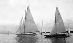Gävle Segelsällskap. Norrlandsregattan.  År 1928.  Gefle Segelsällskap stod som arrangör för Norrlandsregattan.