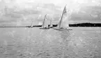 Gävle Segelsällskap. Norrlandsregattan.  År 1928.  Gefle Segelsällskap stod som arrangör för Norrlandsregattan.
