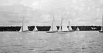 Gävle Segelsällskap. Norrlandsregattan.  År 1928.  Gefle Segelsällskap stod som arrangör för Norrlandsregattan.