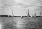 Gävle Segelsällskap. Seglingarna 1931.