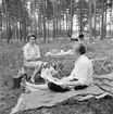 Picnic i skogen
