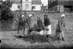 Fem kvinnor gräver på åkern.
