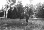 Pojken till häst är troligen en av fru Bellanders söner. Foto i september 1918.