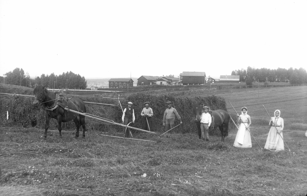 Slåtter på Skinnars åker. I bakgrunden "anhalten" i Lenninge och ekonomibyggnaderna på Lenninge 8:1. Ridhuset, som uppfördes 1919, finns ej. Tredje mannen från vänster är Per Hansson, född 1867, dottern Brita, född 1894, bägge Lenninge 6:14. Pojken är Evert Svedlund, född 1900, Lenninge 6:30.