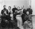 Sjunde klassen. Den 28 februari 1895. Med Karin Andersson, Ebba Aspelin, Gerda Cederberg, Heléne Wallberg, Linnéa Martin, Hildur Modin, Signe Ortman, Ebba Paves och Agnes Wallin. Bilden tillhör Majken Swedlund