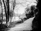 Hovfotograf Carl Larssons son Bertel med hunden Don
vilar vid Gavleåns strand i Stadsträdgården