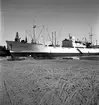 Gävle hamn, invasion av fartyg. Augusti 1950.