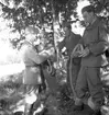 Kungsbäck.  Repetitionsövningen börjar. 12 augusti 1950.