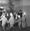 Reportage från Lasarettet, öronavdelningen på julafton.            24 december 1950.