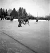 Bandymatch på Kastvallen, Bomhus. 4 februari 1951.