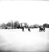 Bandymatch Forsbacka - Hammarby,  på Strömvallen. 13 januari 1952.