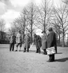 Golfbana planeras i Stenebergsparken av stadsarkitekten. April 1952.