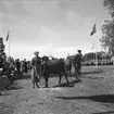 Hållnäs Lantbruksutställning. Uppland den 6 augusti 1949