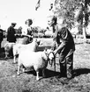 Hållnäs Lantbruksutställning. Uppland den 6 augusti 1949