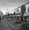 Hållnäs Lantbruksutställning. Uppland den 6 augusti 1949