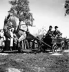 Hållnäs Lantbruksutställning. Uppland den 6 augusti 1949