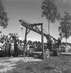 Hållnäs Lantbruksutställning. Uppland den 6 augusti 1949