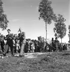 Hållnäs Lantbruksutställning. Uppland den 6 augusti 1949